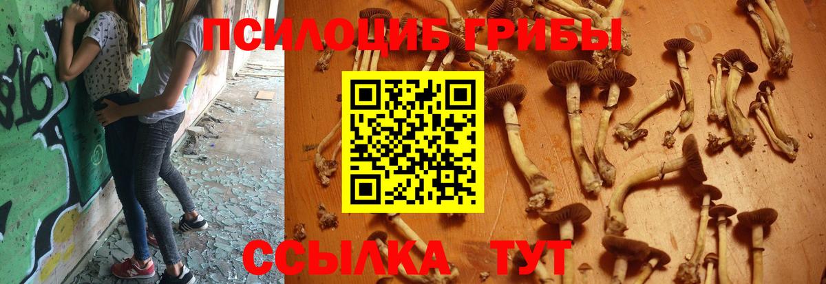 Галлюциногенные грибы ЛСД  Вход с VPN  Кандалакша 