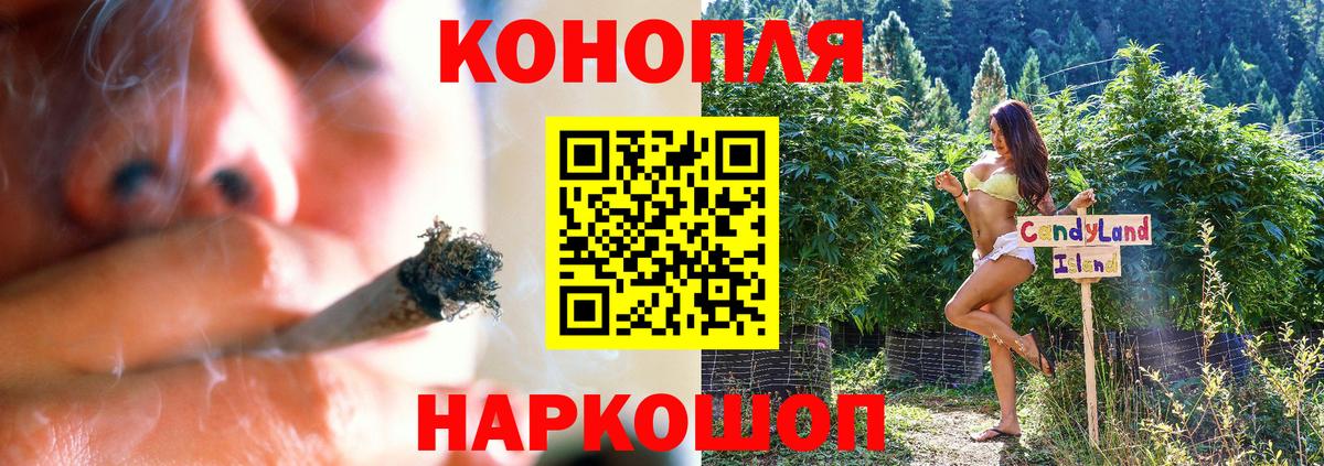 Бошки Шишки индика Кандалакша